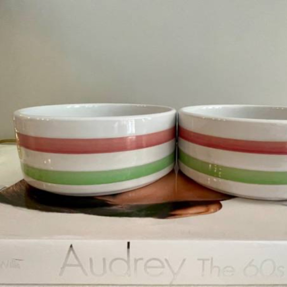 Dog Bowl (Set of 2) Pink and Green Striped + Discount Shipping